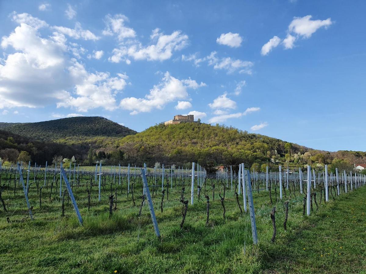 Weinhaus Paradies Neustadt an der Weinstraße Exterior foto